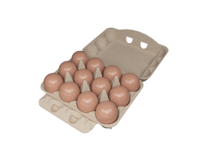 12-EGG BOX(3*4)